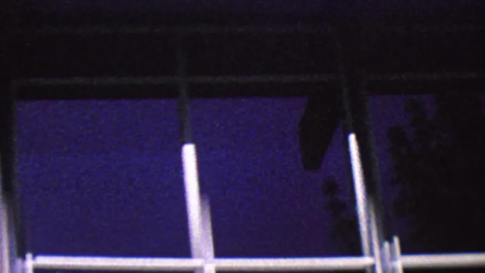 1964 Palm Springs frame showing lower sections of mullioned windows with silhouetted foliage and saturated purple-blue 8mm color.