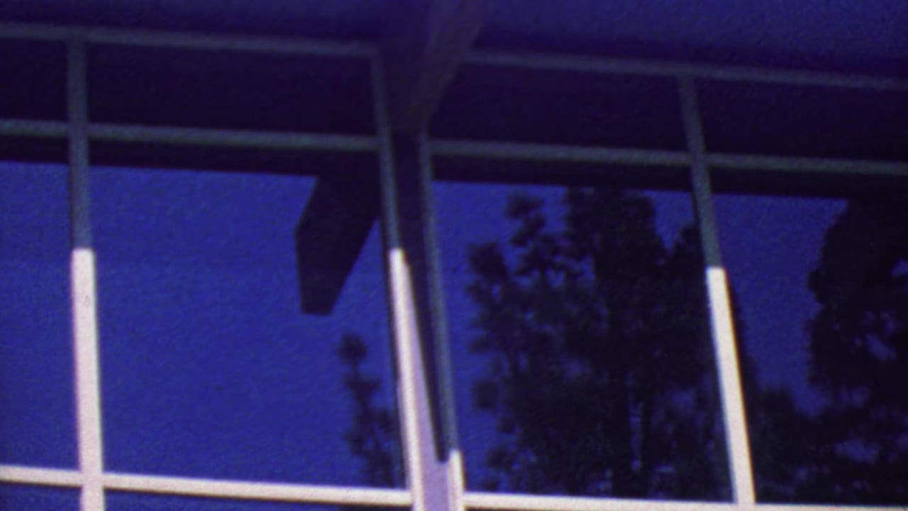 Close view of modernist glass windows with tree reflections and white framing.