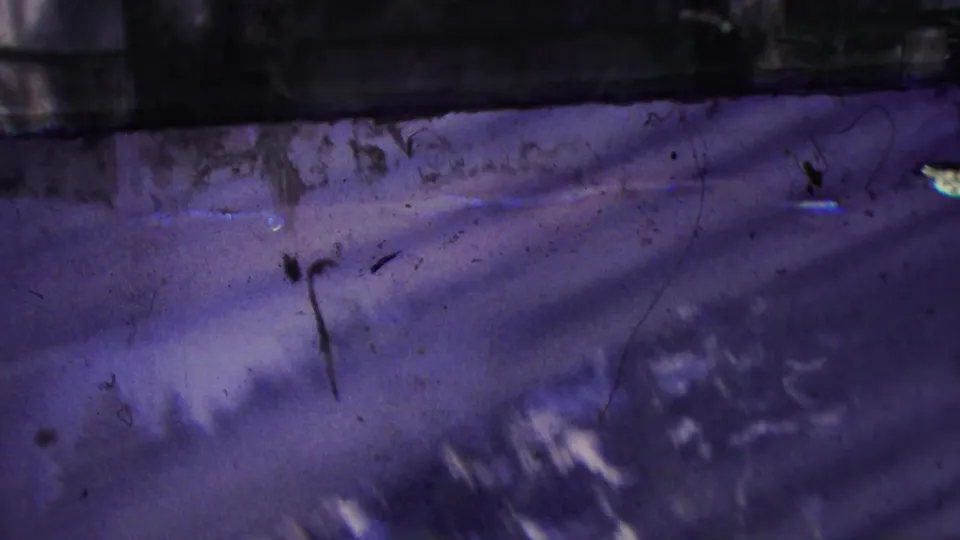Obscured 8mm frame from the Palm Springs tramway clip showing dark blurred outdoor detail, film scratches, and a purple-blue color shift.