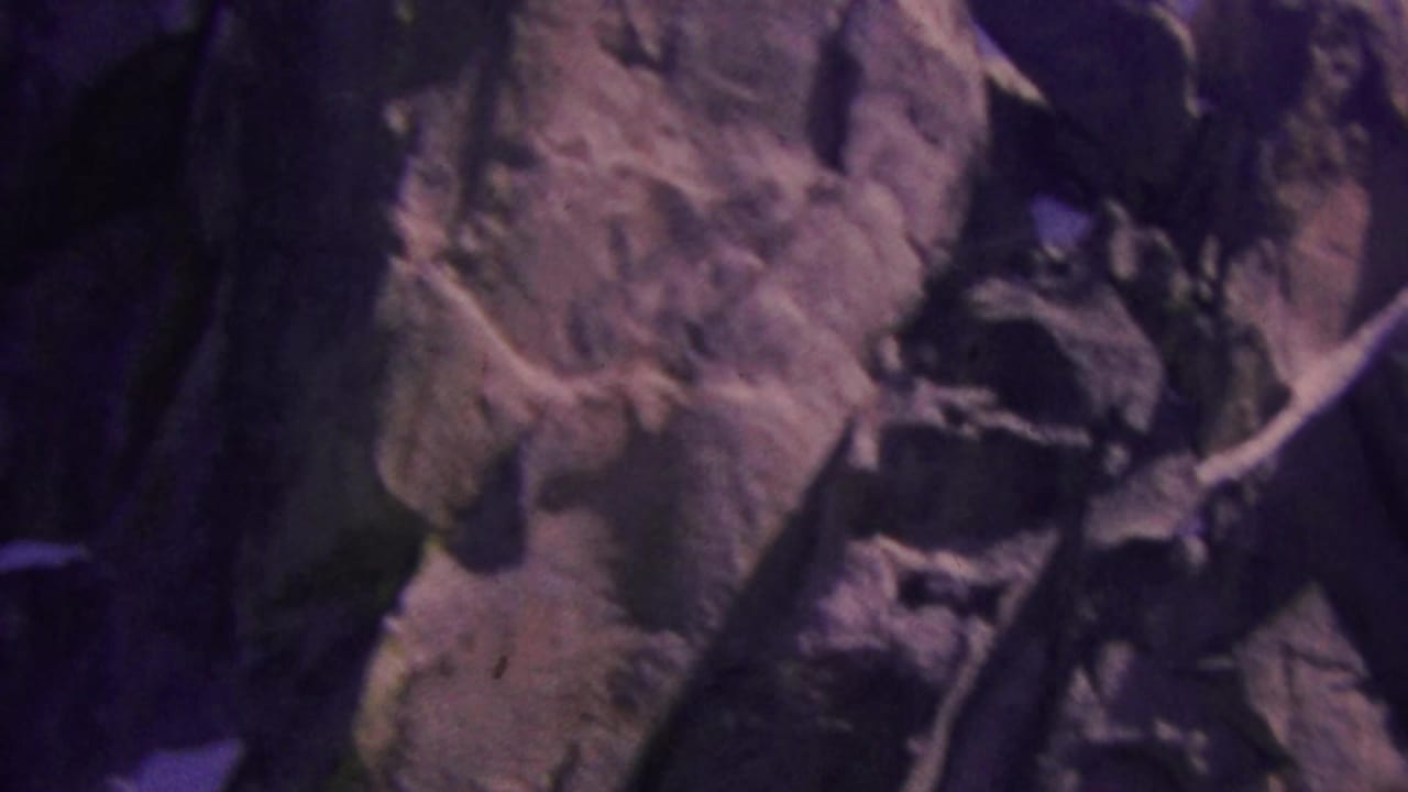 1964 Palm Springs aerial tramway frame with a rugged rock face and dark tree cover passing close to the camera.