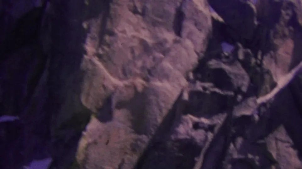 1964 Palm Springs aerial tramway frame with a rugged rock face and dark tree cover passing close to the camera.