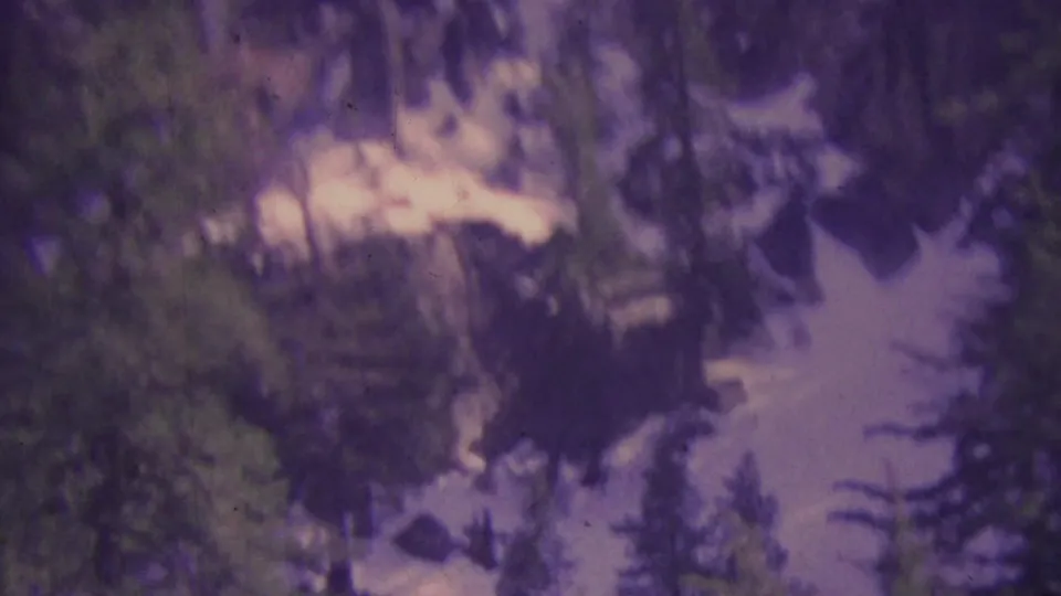 Aged 8mm frame from the Palm Springs tramway footage showing blurred evergreens, scattered snow, and a steep mountain slope in purple-shifted color.