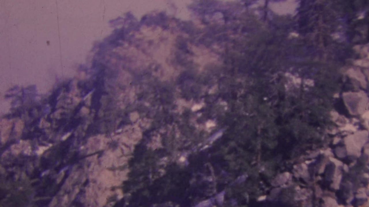 Rocky mountainside with scattered evergreens seen through soft focus.