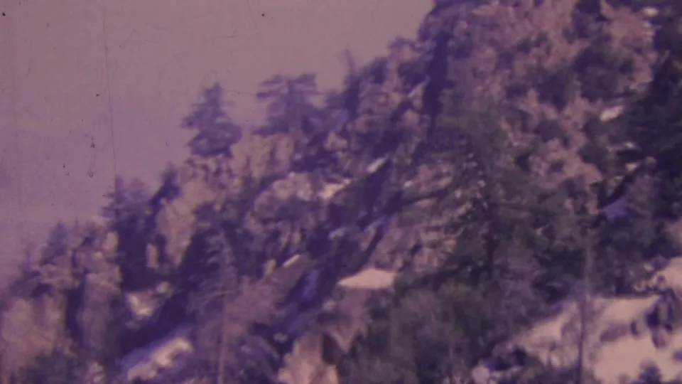 Vintage Palm Springs mountain footage shows evergreen-covered rocky terrain with blurred foreground movement and aged purple film color.