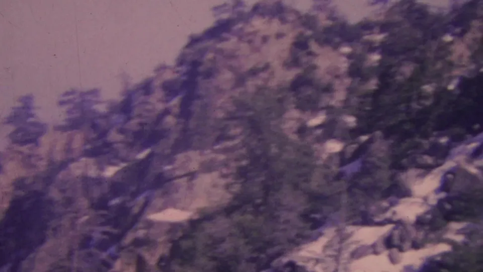 1964 Palm Springs-area 8mm frame showing a soft, purple-tinted view of a rocky mountain slope with scattered pine trees and hazy sky.