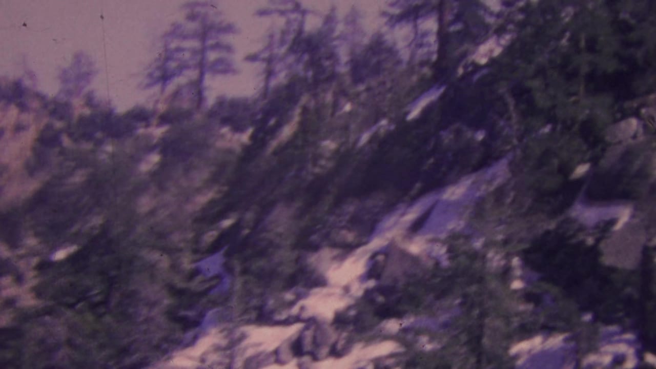 Steep forested ridge with pale rock outcrops and trees.