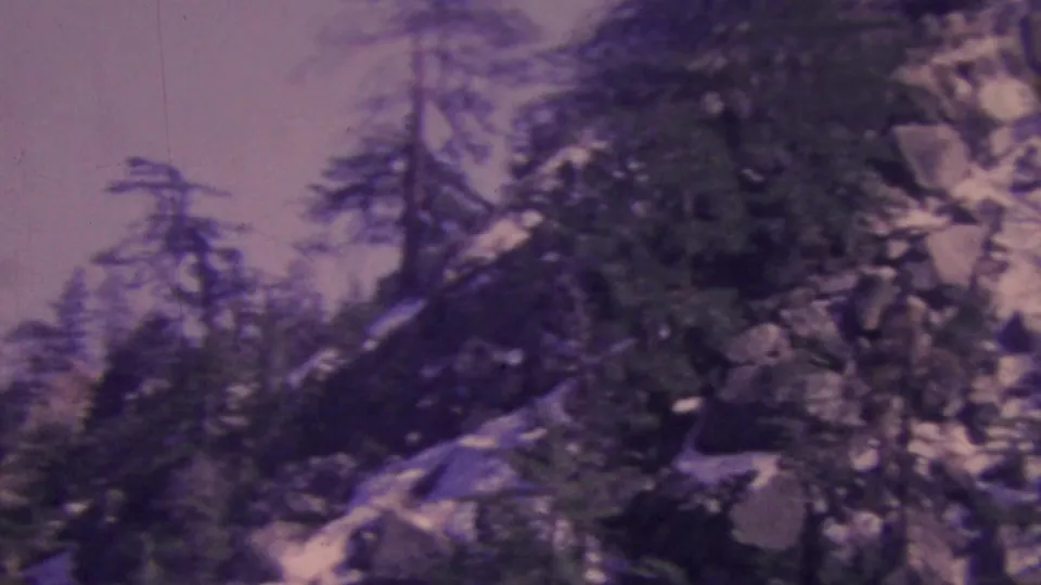 Soft 8mm frame from the Palm Springs mountain setting, showing blurred pine trees, boulders, and a hazy upper slope.