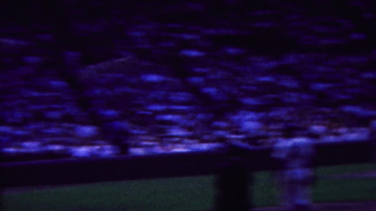 Purple-blue shifted 8mm frame showing blurred spectator stands, a field barrier, and green playing surface during the Indiana baseball footage.