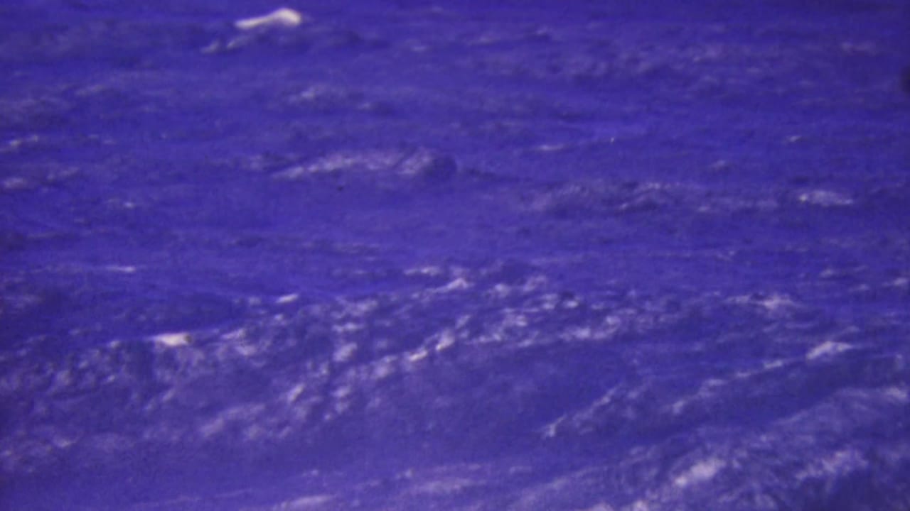 Rough ocean surface with white streaks and heavy blue-purple film coloration.