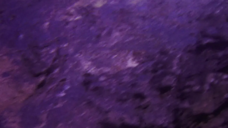 1964 Honolulu home-movie frame showing a close, motion-blurred view of dark shoreline rock with purple color shift and film grain.