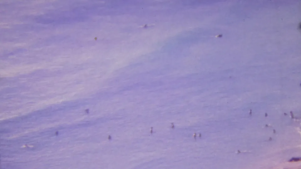 Final 1964 Honolulu ocean frame showing tiny swimmers across the lower waterline, with soft waves and aged 8mm color fading.