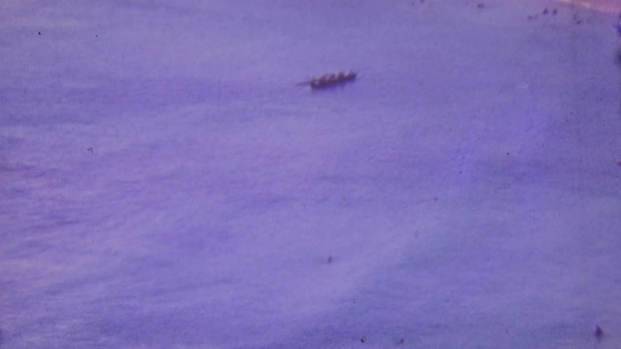 Distant ocean view near Honolulu with small canoe-like craft crossing the frame in grainy purple-tinted 8mm footage.