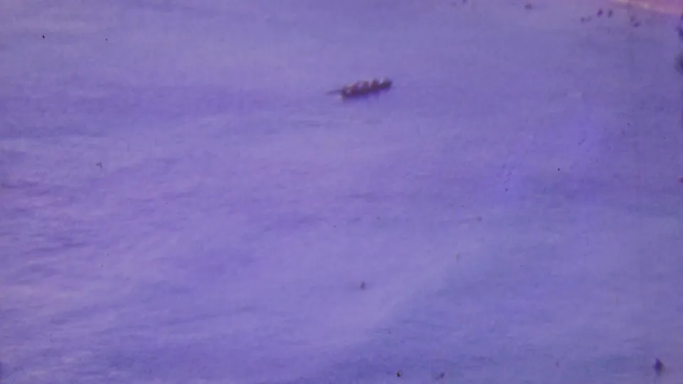 Distant ocean view near Honolulu with small canoe-like craft crossing the frame in grainy purple-tinted 8mm footage.