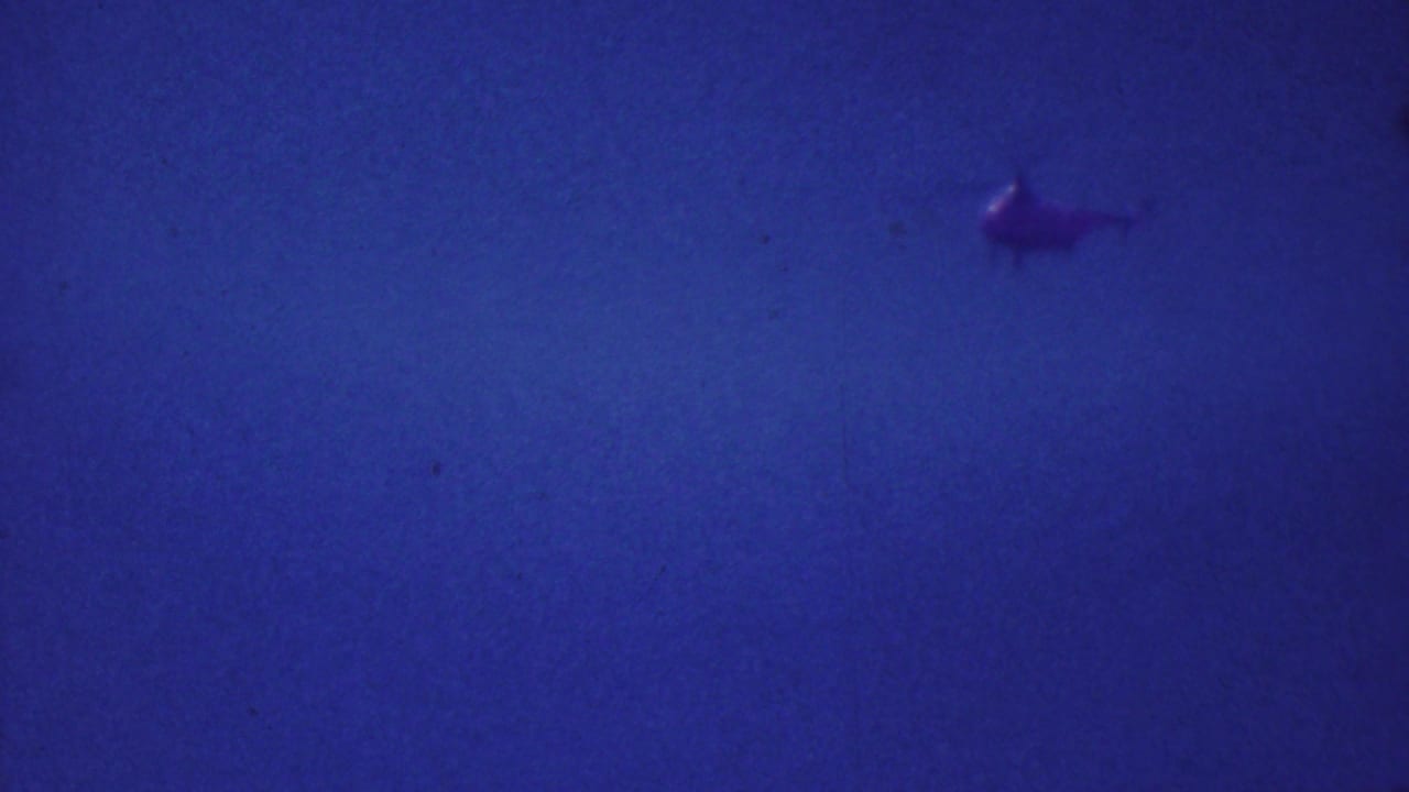 Distant helicopter seen in a deep blue sky in the 1964 home-movie sequence, with heavy grain and blue-purple color cast.
