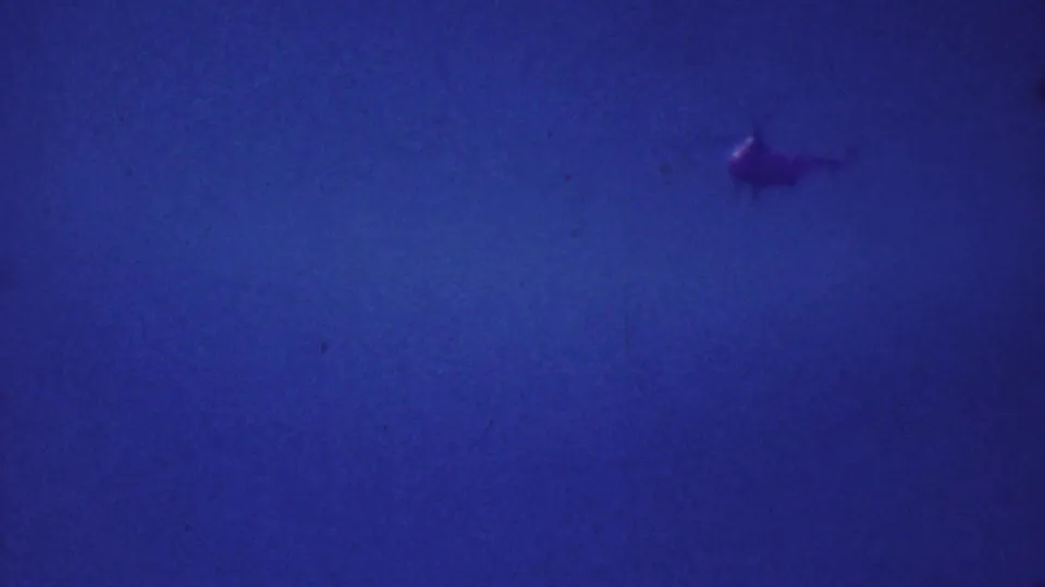 Distant helicopter seen in a deep blue sky in the 1964 home-movie sequence, with heavy grain and blue-purple color cast.