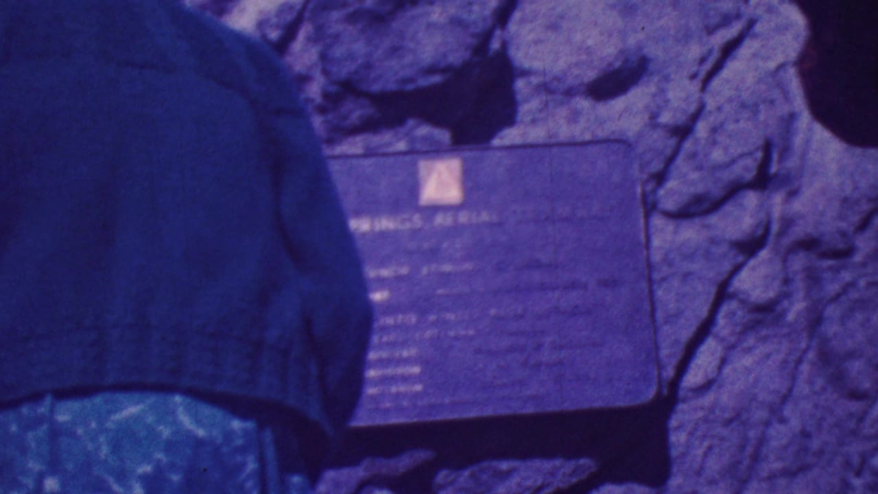 A visitor in a dark coat faces a metal plaque mounted on rugged stone in the Palm Springs outdoor setting, with another plaque partly visible nearby.