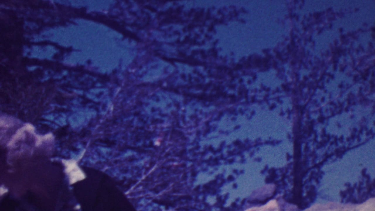 Profile view of the elderly visitor in glasses near a rocky outdoor memorial display, with trees and sky behind him in Palm Springs home-movie footage.