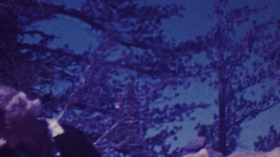 Profile view of the elderly visitor in glasses near a rocky outdoor memorial display, with trees and sky behind him in Palm Springs home-movie footage.