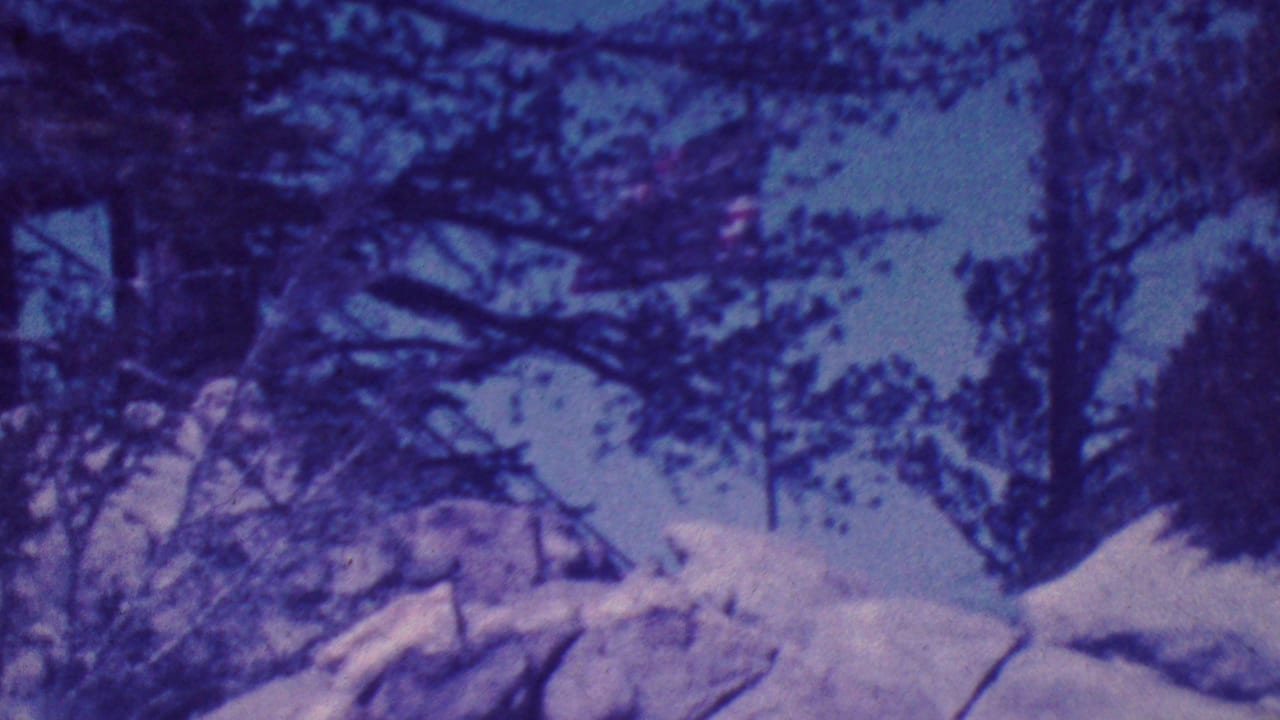 Large rock and snow below dark tree branches during an upward camera move.