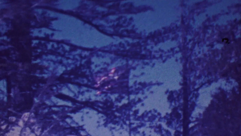 1964 Palm Springs-area home-movie frame showing a small American flag partly obscured by trees as it waves against the blue sky.