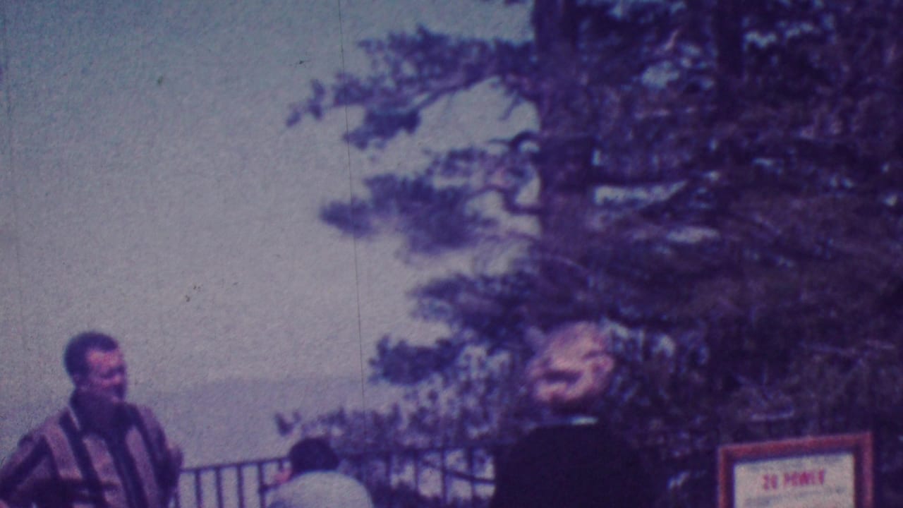 Adults near a metal overlook fence with trees and hazy hills behind them.