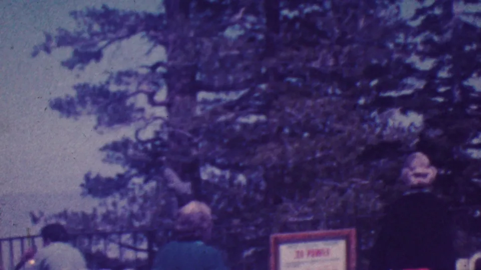 Palm Springs 1964 home-movie still showing adult visitors resting by a fenced overlook, with dense trees, a small sign, and hazy scenery beyond.
