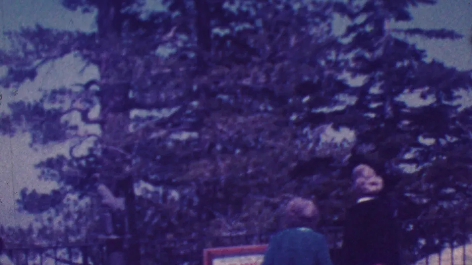 Final 1964 Palm Springs frame showing adult sightseers near a metal fence and trees at an overlook, rendered with soft purple 8mm color and grain.