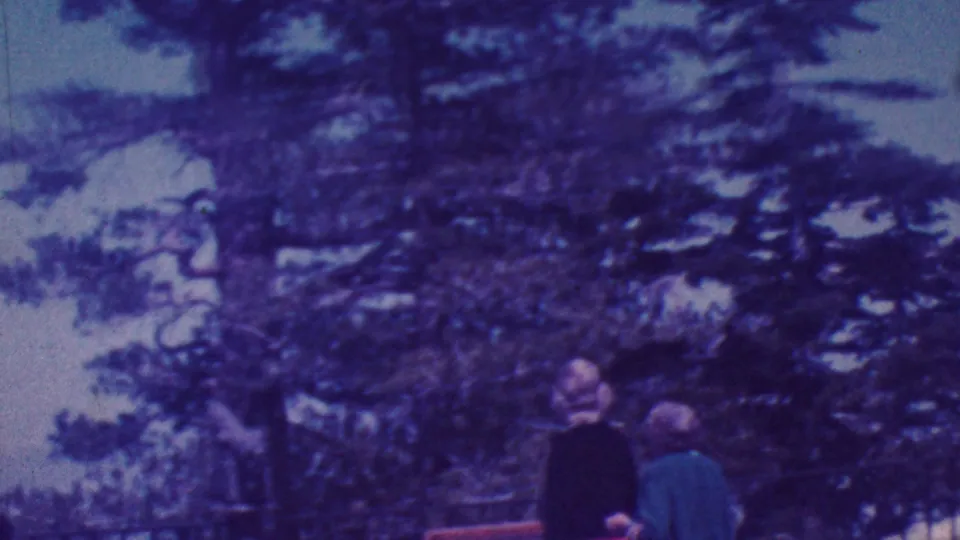 In the Palm Springs 1964 home-movie scene, two adults stand before dense trees while one person lifts an arm toward something above or off frame.