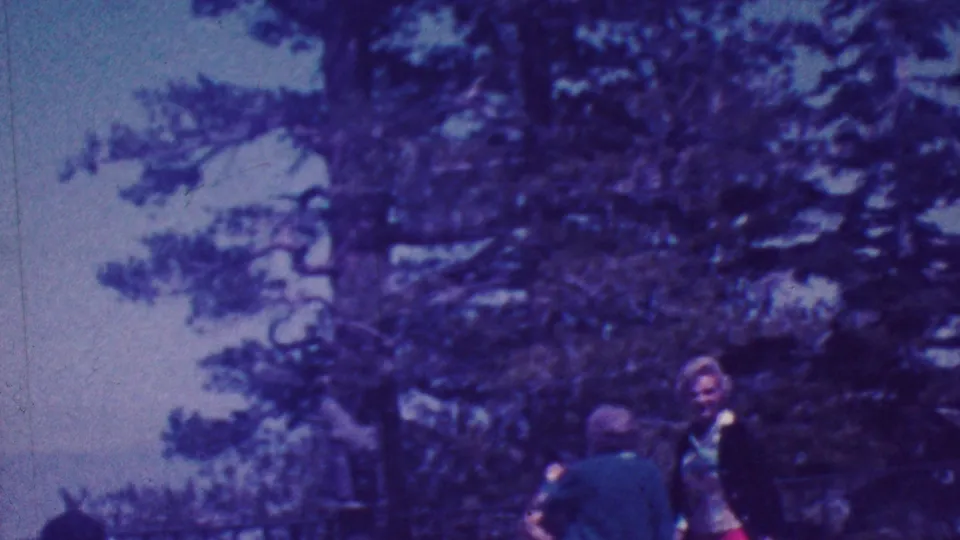 A wider 1964 Palm Springs vacation frame shows two adults near tall trees, with a small horizontal railing or bench visible in the shaded foreground area.