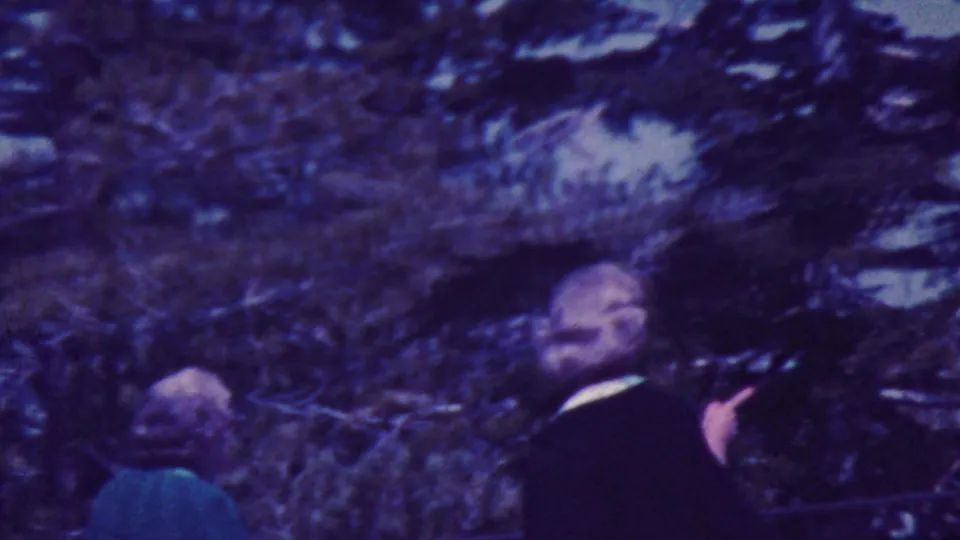 The final frame moves closer to an adult in dark clothing near dense trees, with another person partly visible as the handheld camera drifts through the scene.