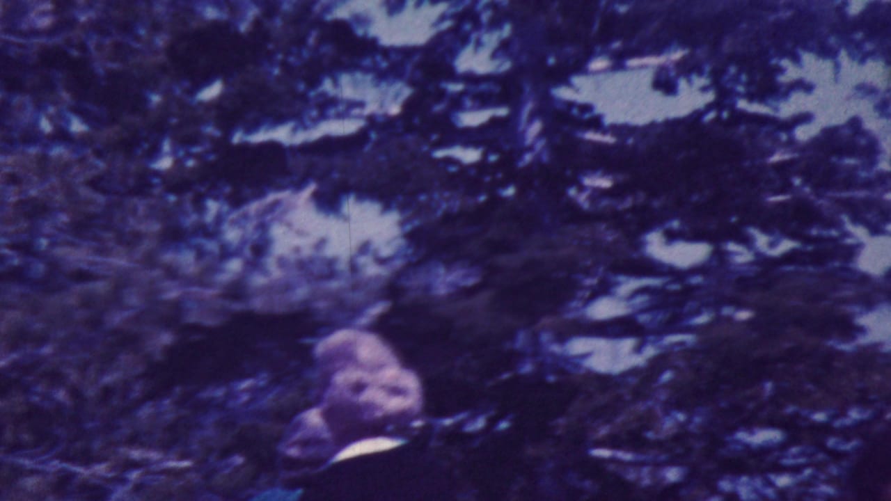 Smiling adult standing beneath dense tree branches.