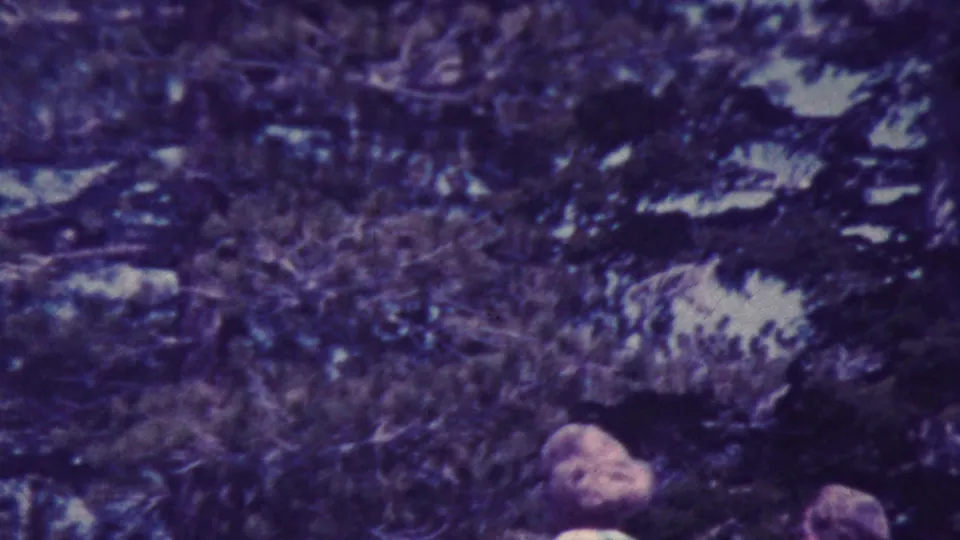 A blonde woman in a dark dress smiles toward the camera beneath tall trees in the supplied Palm Springs 1964 home-movie footage, with another person partly visible beside her.
