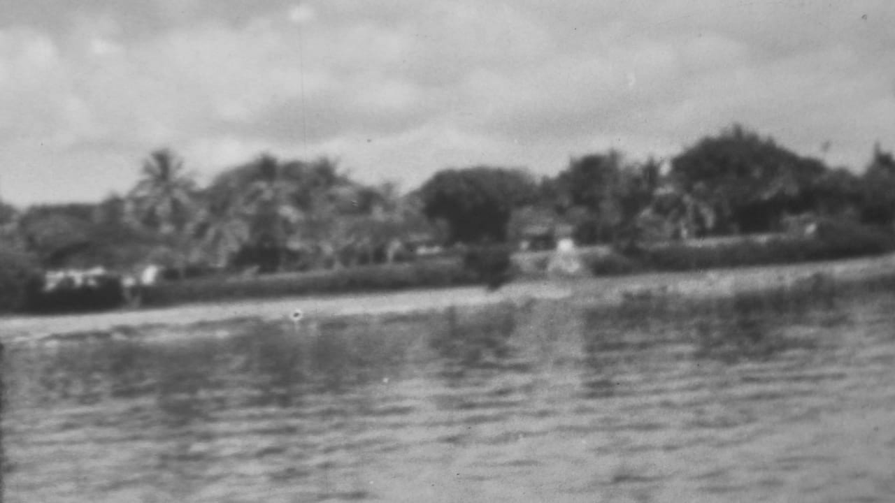 Palm-lined shoreline and low houses across calm water.