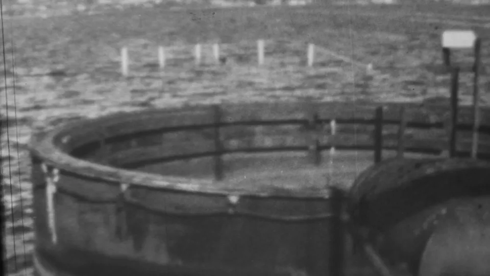 Monochrome 8mm view of harbor water, a curved railing, shoreline posts, and a small signboard in the Pearl Harbor, Hawaii sequence.