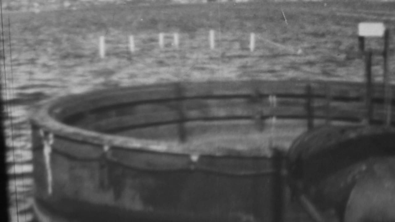 1962 Pearl Harbor home-movie frame showing a circular concrete holding tank with metal railings near choppy shoreline water and distant posts.