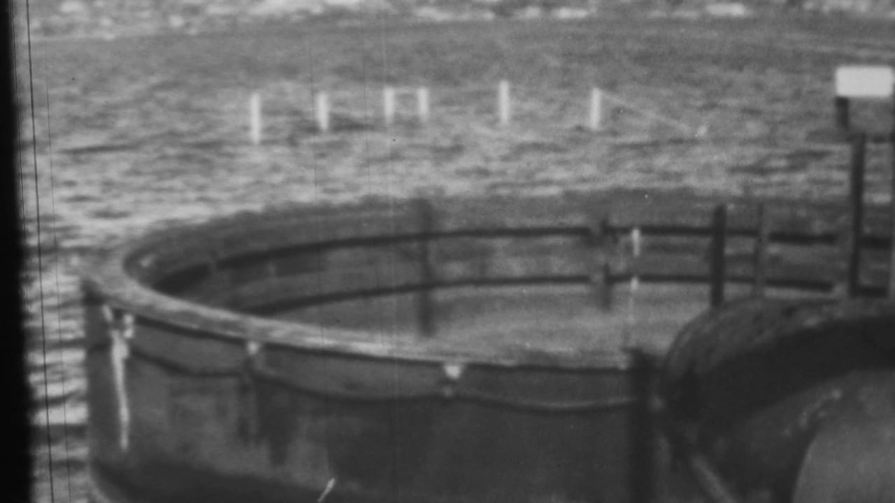 Concrete shoreline tank and railings with water and posts behind it.