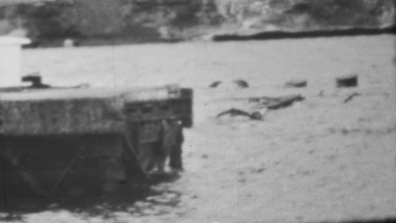 Broken-looking concrete structure over rushing water with debris in the channel.