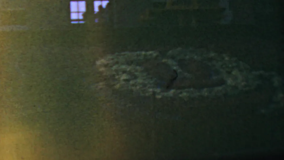 1964 8mm frame from the Disneyland entrance area at night, with a flower bed in the foreground, dim facade, and small lit window detail near the top left.