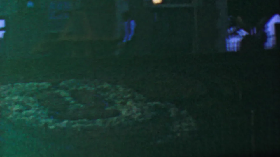 Nighttime 1964 Anaheim frame showing a dim landscaped area near the Disneyland entrance, with a flower bed in the foreground and indistinct visitors at the right edge.
