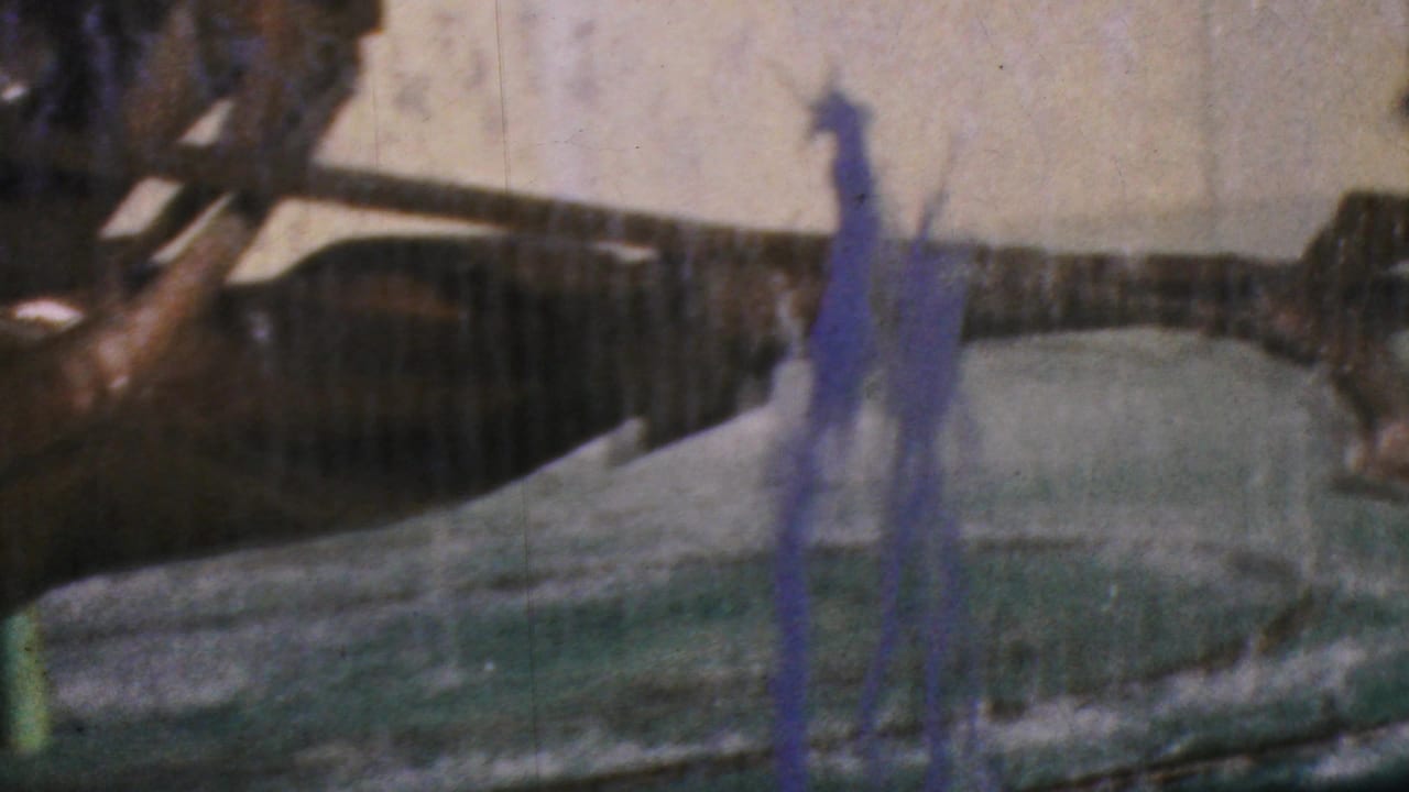 Water jet rising from a green basin in front of a yellow wall.