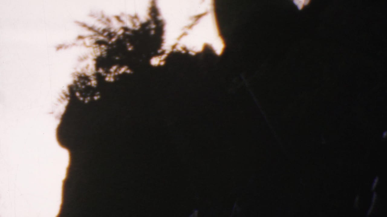 Dark tree or foliage silhouette against a washed bright sky in 1964 Anaheim home-movie footage, with visible grain and scratches.