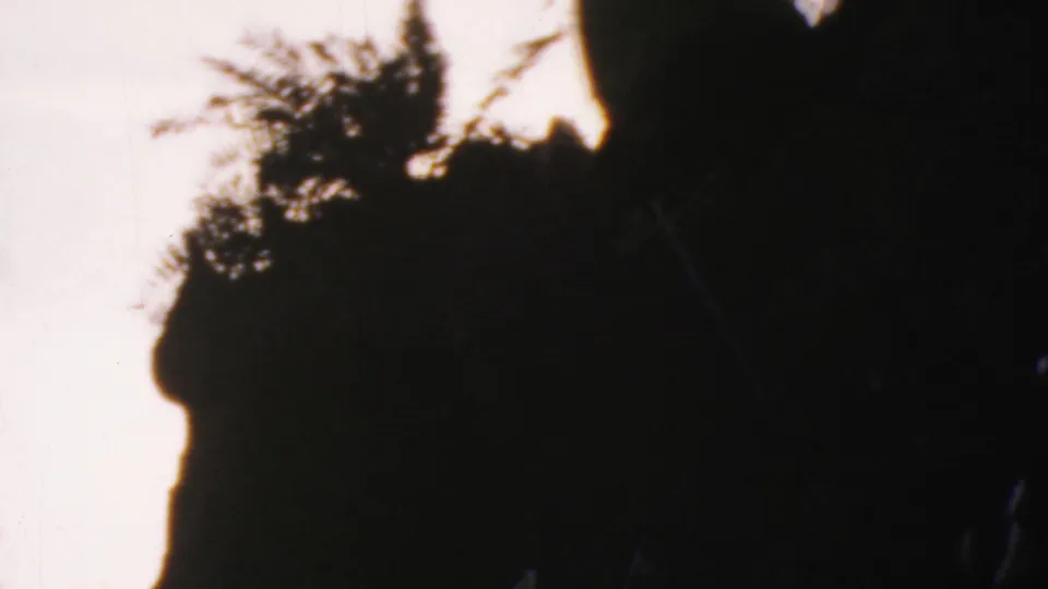 Dark tree or foliage silhouette against a washed bright sky in 1964 Anaheim home-movie footage, with visible grain and scratches.