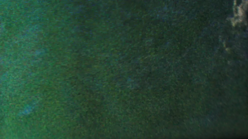 Green textured surface, likely grass or foliage, fills the frame with mottled color, soft focus, and visible analog film grain.