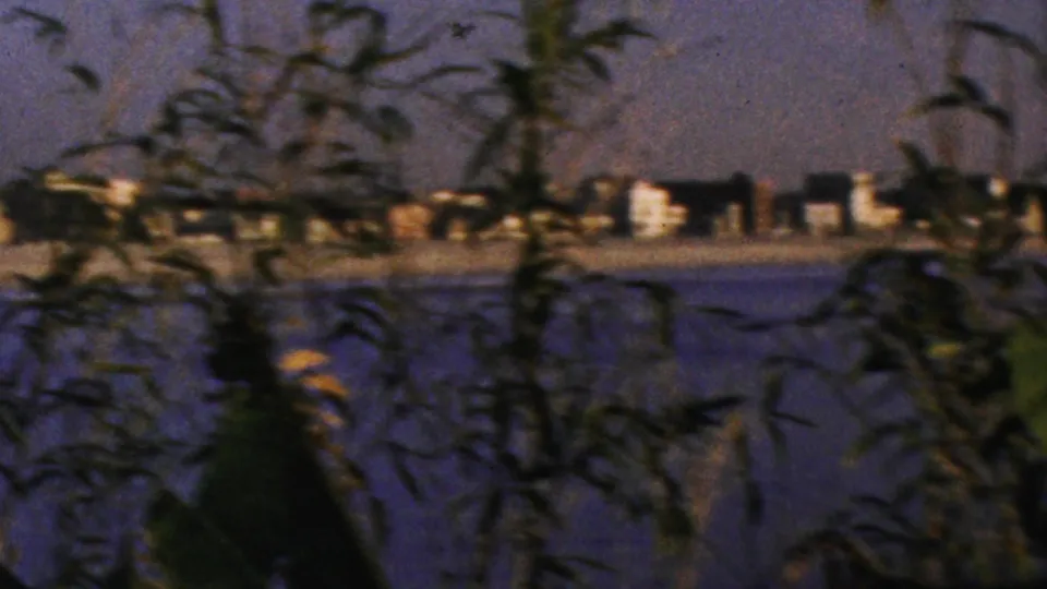 Soft 8mm frame from the 1964 Anaheim clip showing reeds or foliage in the foreground, water in the middle distance, and low buildings along the far shoreline.