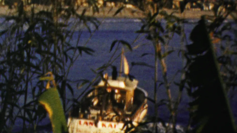 1964 Anaheim waterfront frame showing a small boat partly obscured by reeds, dark blue water, distant shore structures, and a striped pole near the right edge.