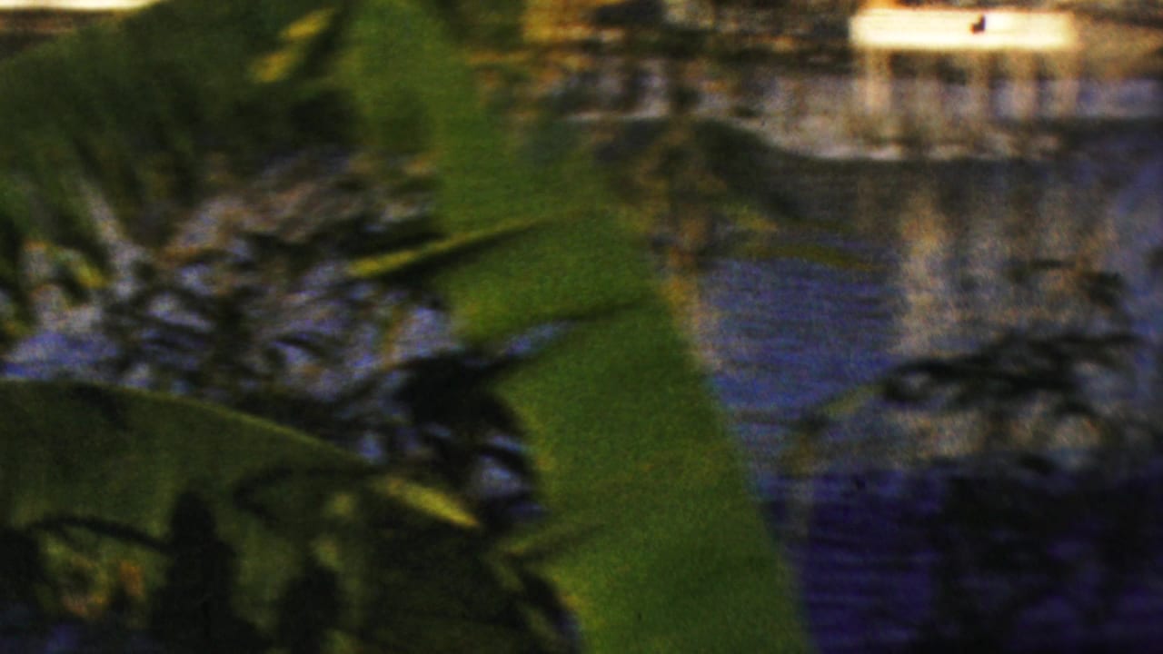 Green foliage and water reflections beside a lit structure.