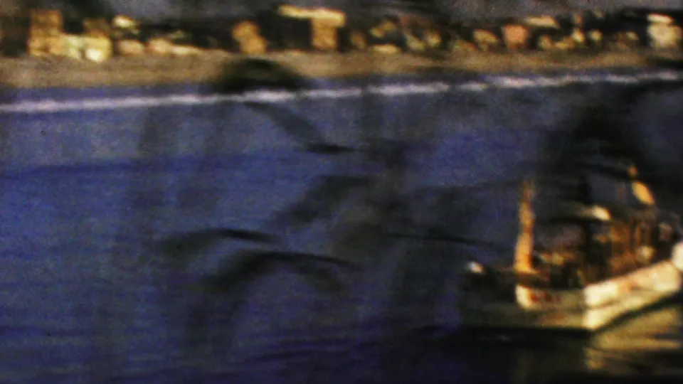1964 Anaheim nighttime home-movie frame with a small illuminated boat near reeds, dark blue water, and warm shoreline lights in the distance.