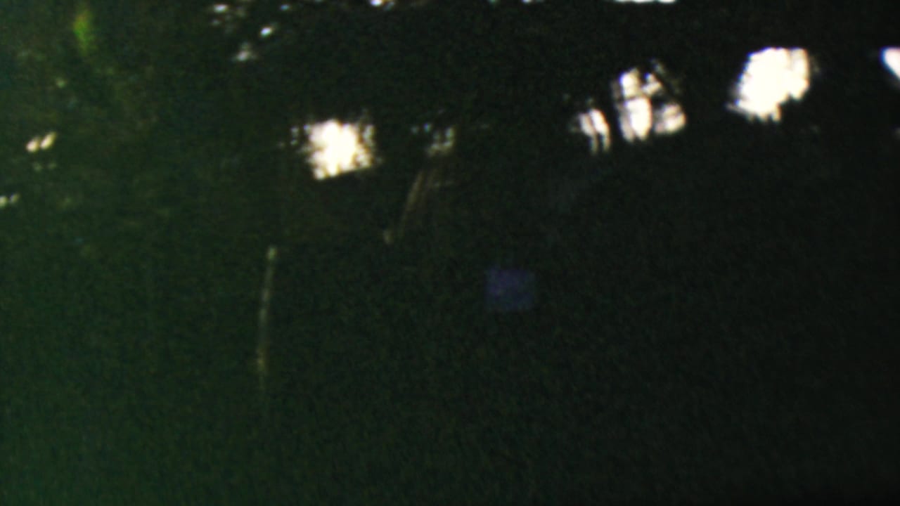 Underexposed 1964 Anaheim home-movie frame showing dark wooded foliage and scattered distant lights without identifiable people or landmarks.