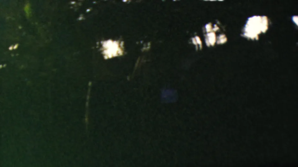 Underexposed 1964 Anaheim home-movie frame showing dark wooded foliage and scattered distant lights without identifiable people or landmarks.