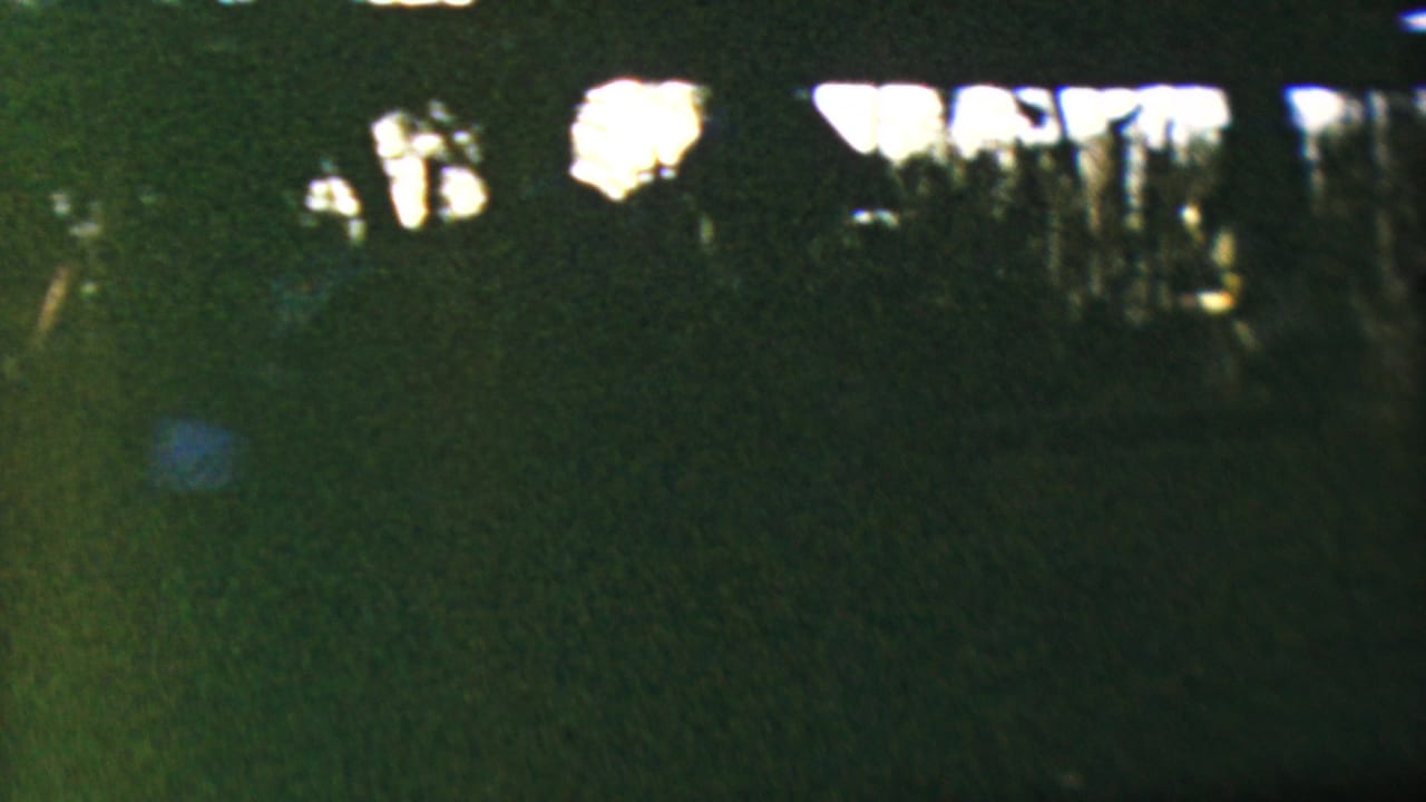Shadowed trees with bright patches of light near the top of the frame.